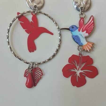 Boucles colibris jolis
